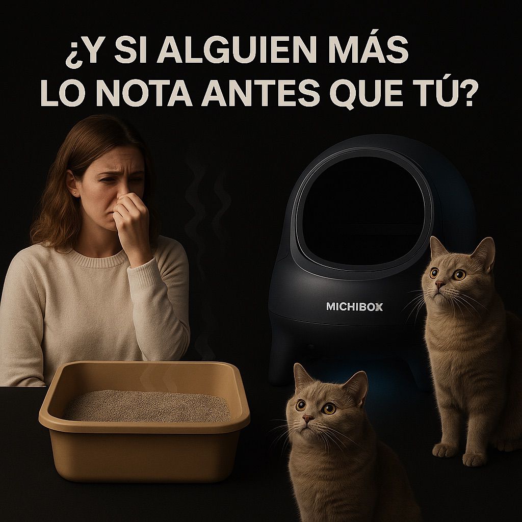 MICHIBOX